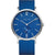 Bering True Aurora Watch