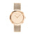 Ck Calvin Klein   25200013 Orologio