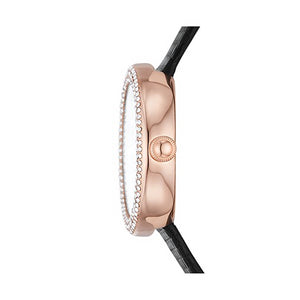 Emporio Armani  Rosa Orologio Da Donna