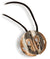 Choice Jewels Mod. Kind Collana/Necklace 45cm Orologio Da Donna