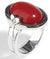 Morellato Gioielli Mod. Sor3020 Orologio Da Donna