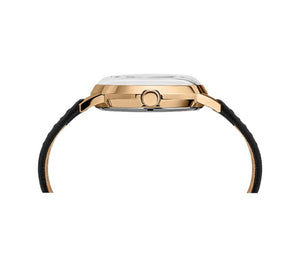 Timex  Tw2 T22800 Orologio